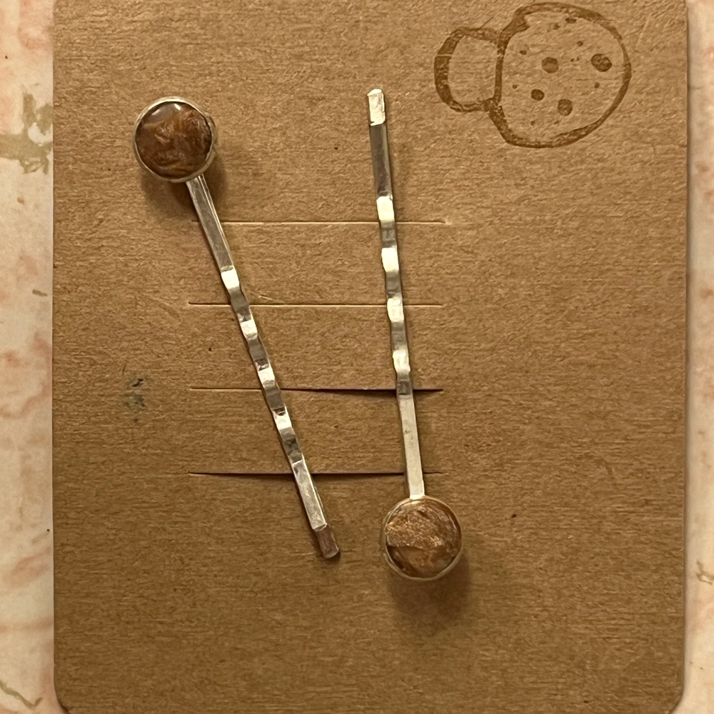 Silver and Brown Hair Pins